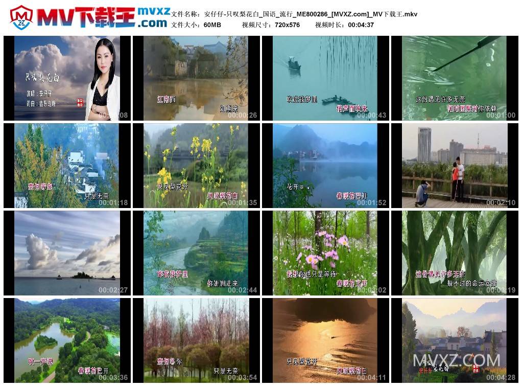 安仔仔-只叹梨花白_国语_流行_ME800286